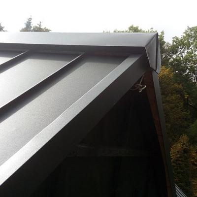 Dachsanierung Stehfalzblechdach Detail